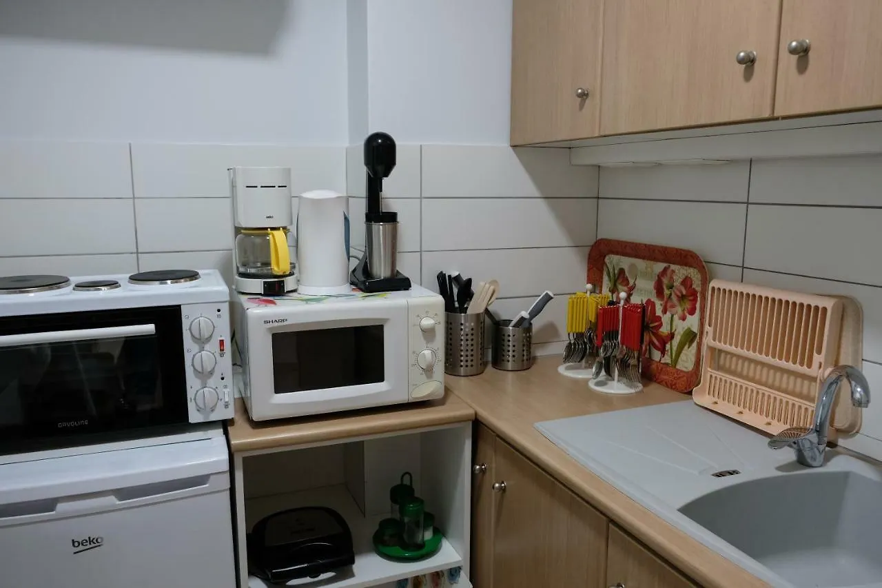 Luxury Cozy Large Apartment In The City Center سالونيك